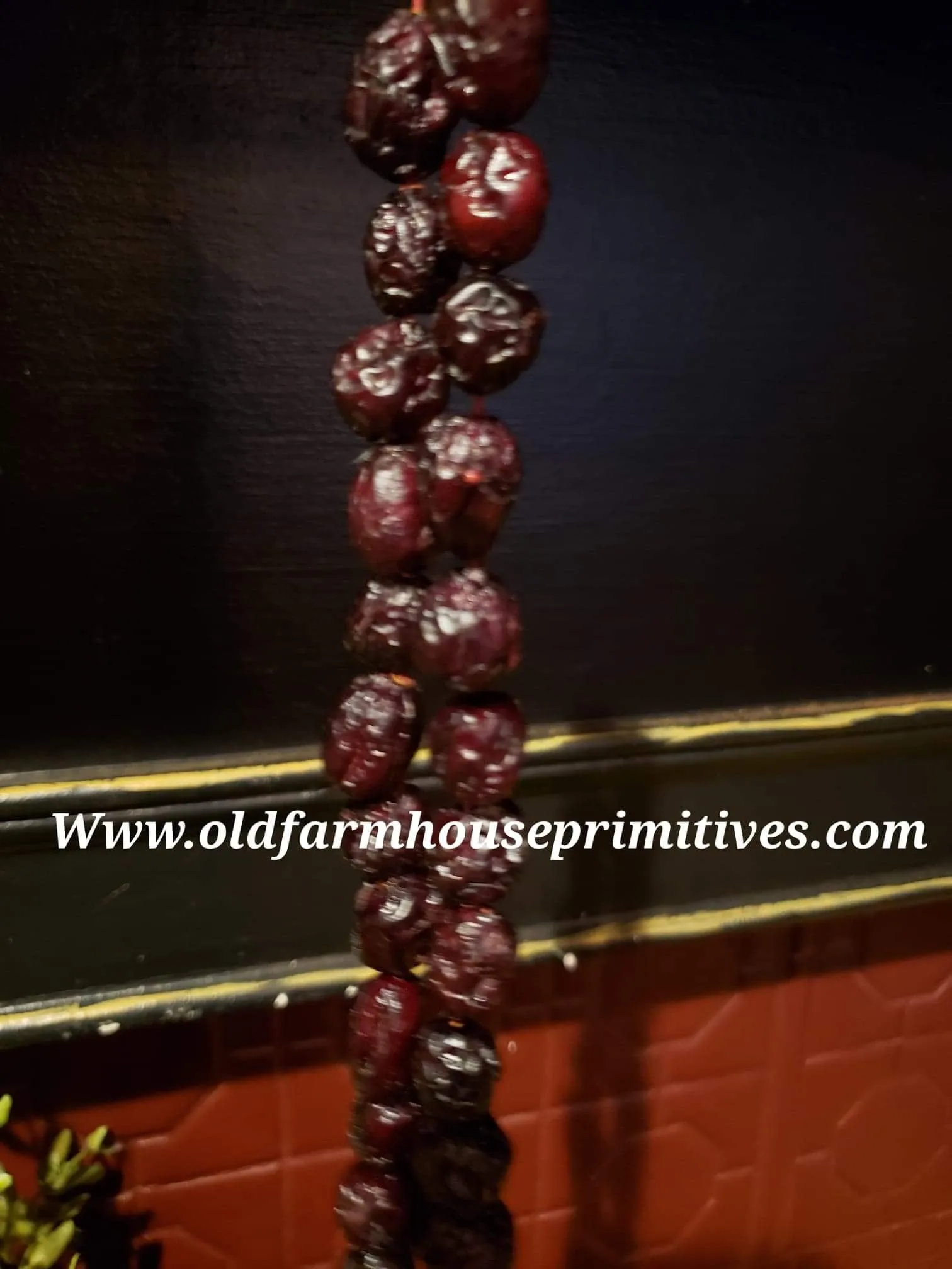 #BJBC71 Primitive Colonial Dried Dark & Plump Cranberry Garland 3'