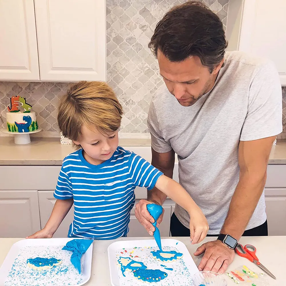Dinosaur Designer Cookie Kit
